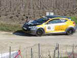 IMG 4519
