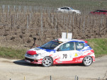 IMG 4598
