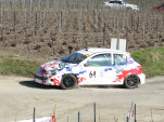 IMG 4576