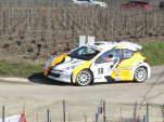 IMG 4553