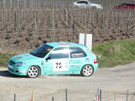 IMG 4616
