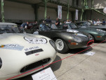 IMG 5484