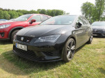 IMG 5779