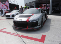 Paddock