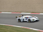 IMG 5988