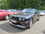 IMG 7019