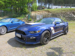 IMG 6991