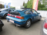 IMG 7041
