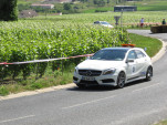 IMG 7333