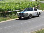 IMG 7348