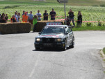IMG 7247
