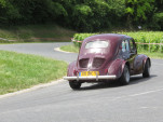 IMG 7421