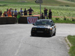 IMG 7239