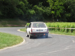 IMG 7529