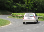 IMG 7544