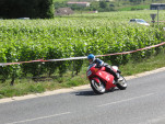 IMG 7334