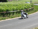 IMG 7338