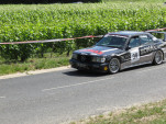 IMG 7377