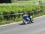 IMG 7336