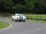 IMG 7442