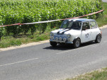 IMG 7355