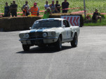 IMG 7131