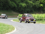 IMG 7583