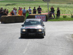 IMG 7248