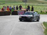 IMG 7246