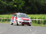 IMG 7582