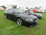 IMG 7853