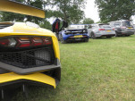 IMG 8978