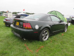 IMG 7854