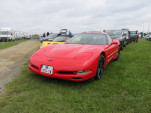 IMG 7737