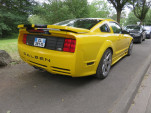 IMG 8845