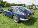 IMG 7982