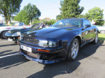IMG 7897