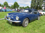 IMG 7981