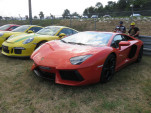 IMG 9135