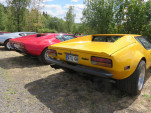 IMG 0411