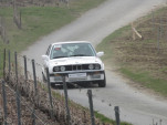 IMG 1553