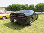 IMG 4480