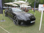 IMG 4619