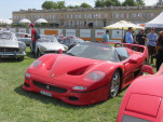 IMG 4301