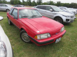 IMG 4514