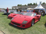 IMG 4299
