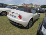 IMG 4495