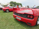 IMG 4538