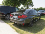 IMG 4258