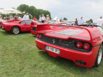 IMG 4539